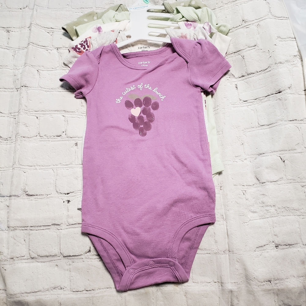 Carter's Baby Girl Bodysuit.  5 piece .